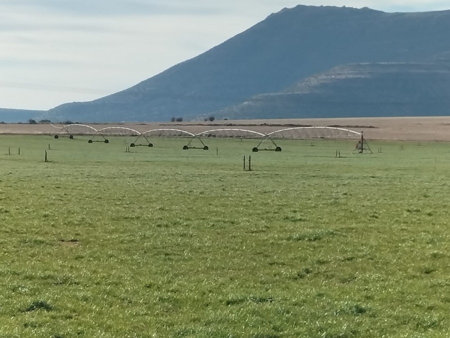 5 Bedroom Property for Sale in Queenstown Rural Eastern Cape